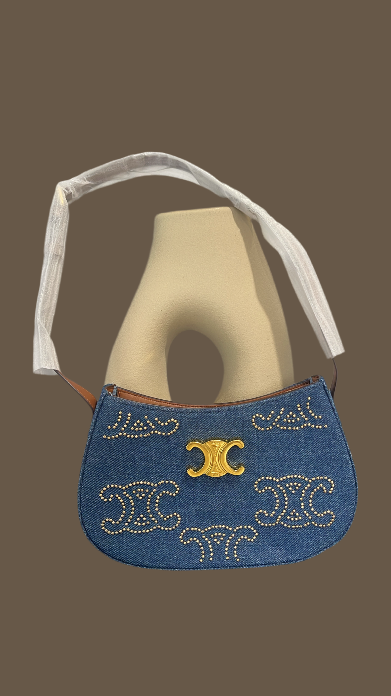 Celin Handbag ✨