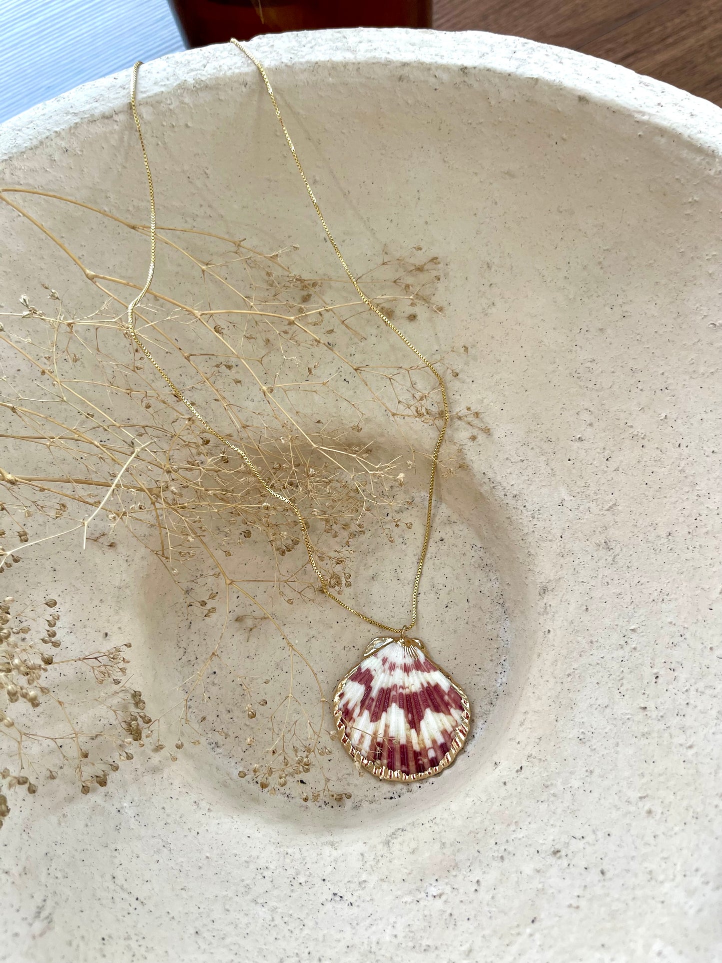 Big summer conch ๐