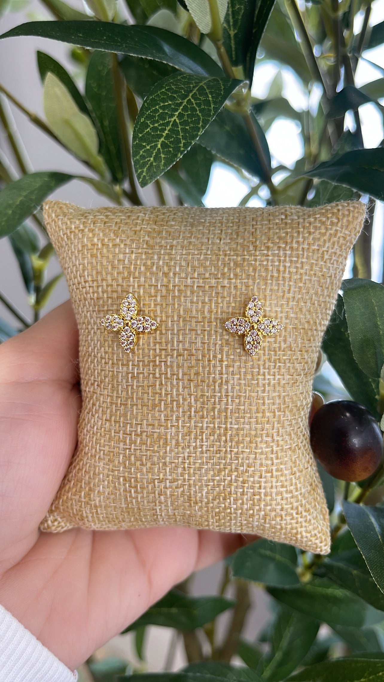 LV elegant earrings