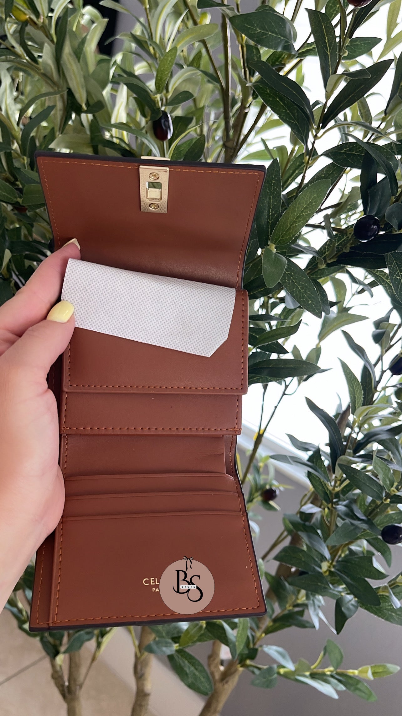 Celin wallet 🤎