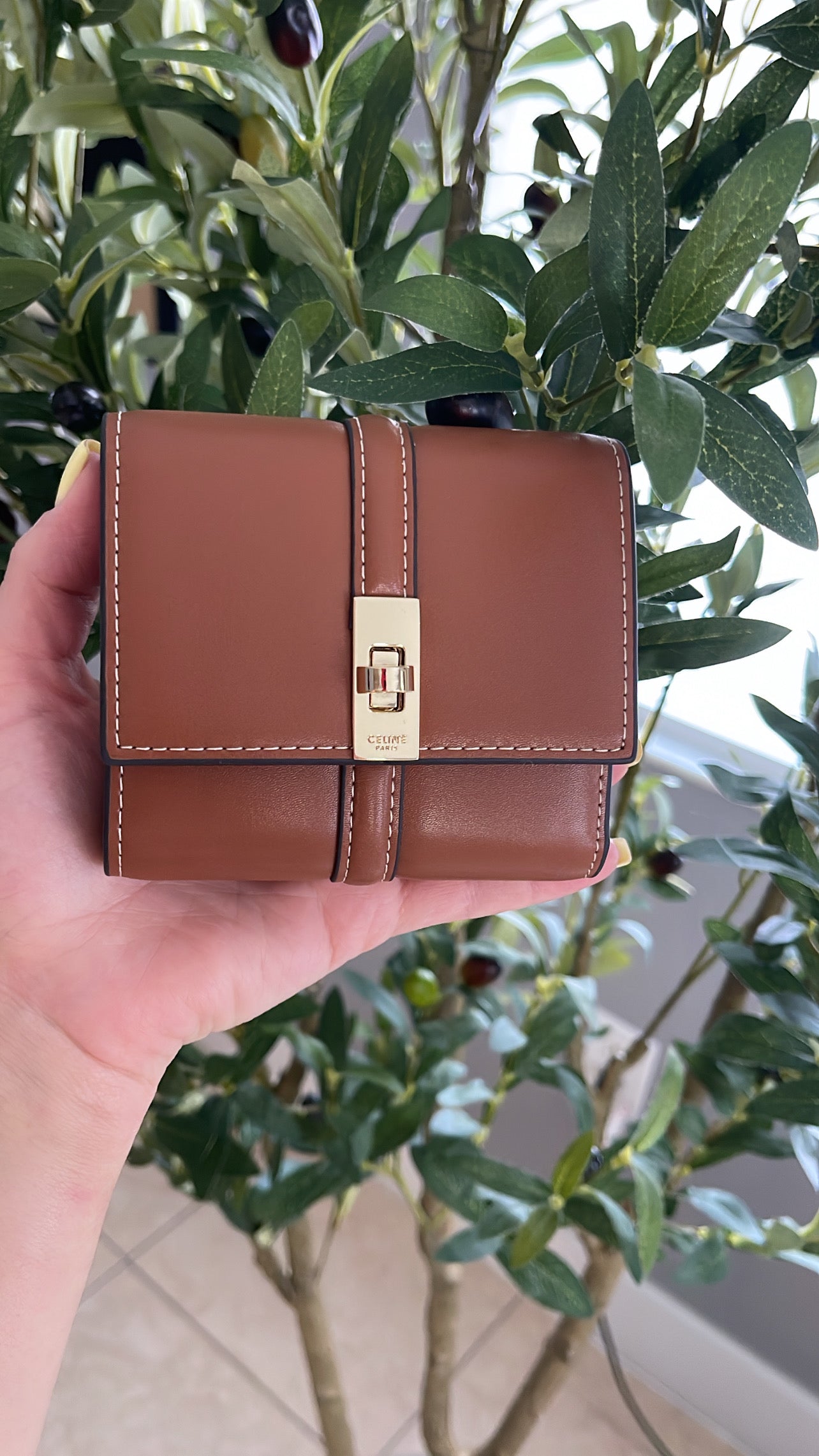 Celin wallet 🤎