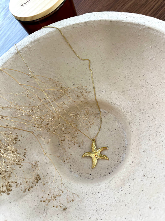 Summer Star ⭐️