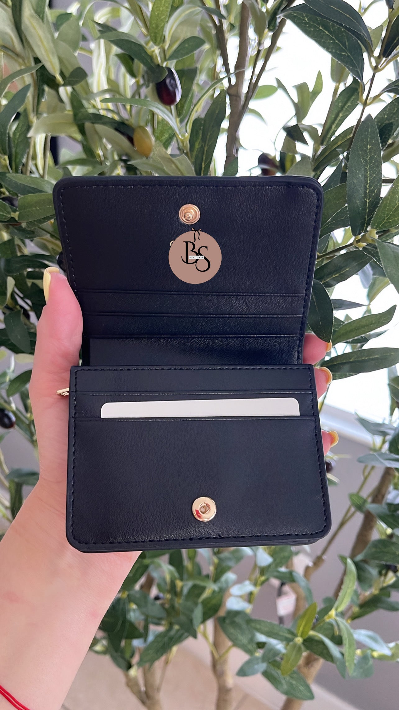 Celin wallet 🖤