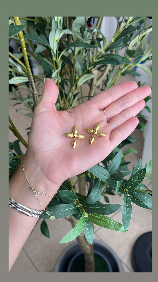 Lv Earrings