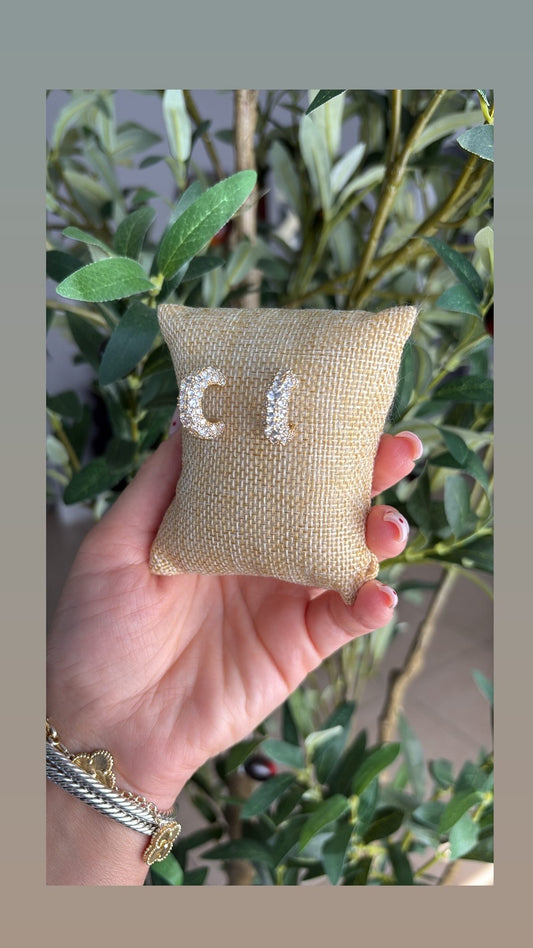 Beautiful earrings ✨