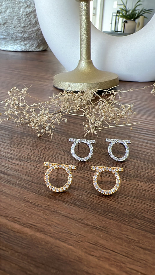 Ferragamo Earrings