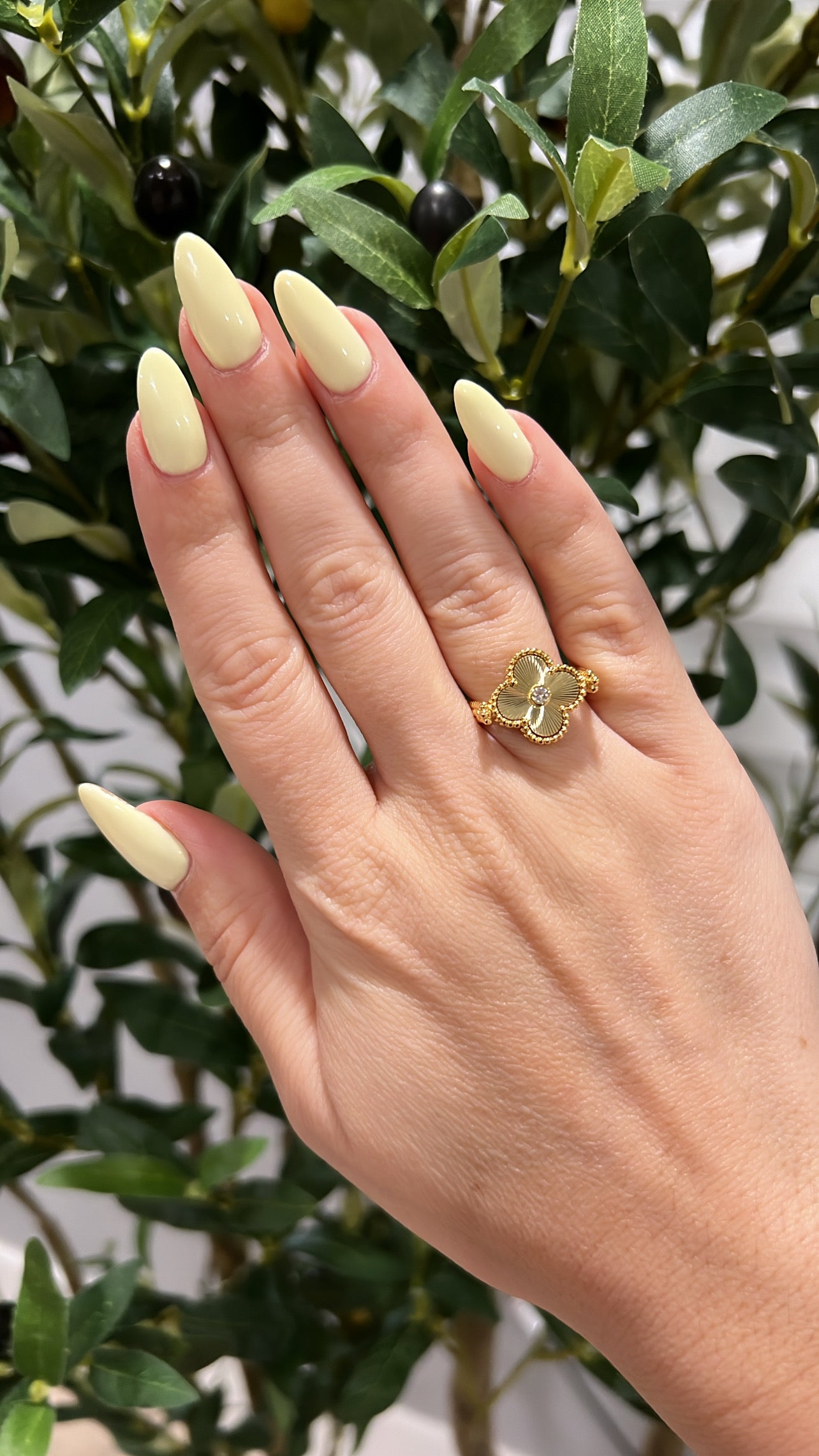 Reversible Van Ring